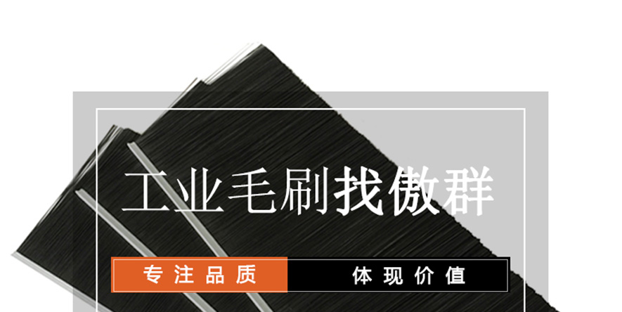 工業(yè)毛刷