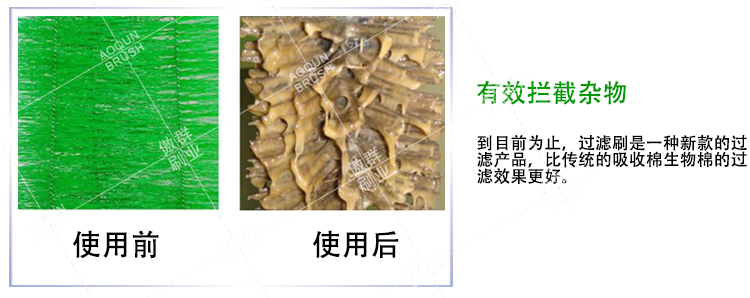 魚池過濾系統(tǒng)毛刷 魚池過濾系統(tǒng)毛刷