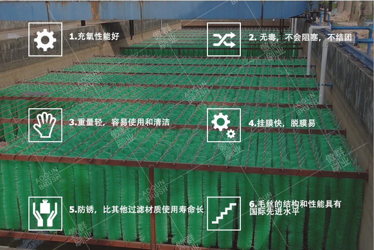 魚池用毛刷過濾 魚池用毛刷過濾