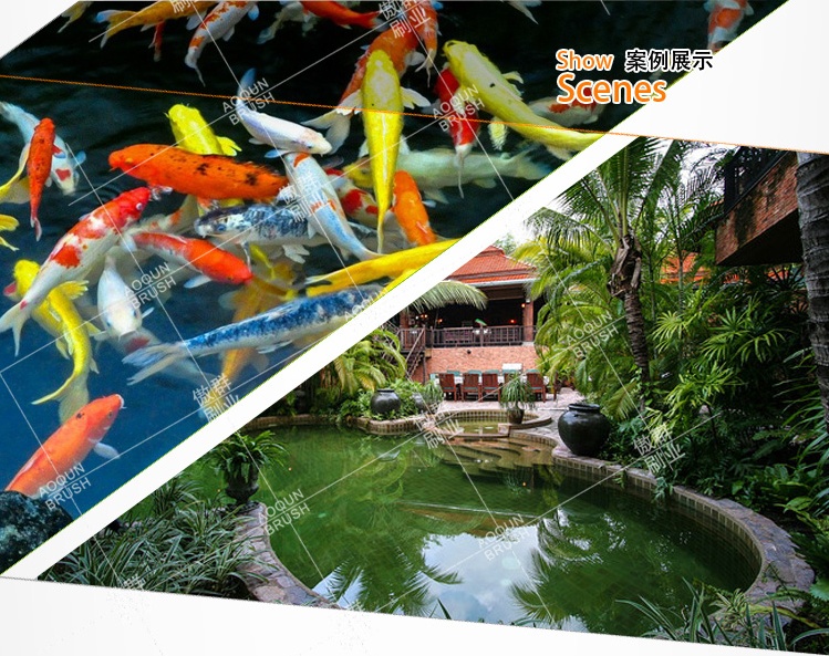 觀賞魚(yú)池過(guò)濾毛刷 觀賞魚(yú)池過(guò)濾毛刷