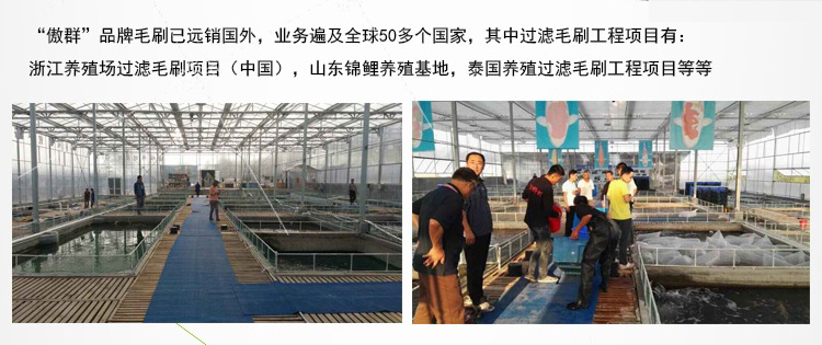 塑料過濾毛刷 塑料過濾毛刷