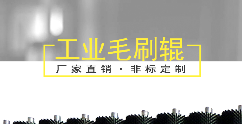 彈簧毛刷輥 彈簧毛刷輥