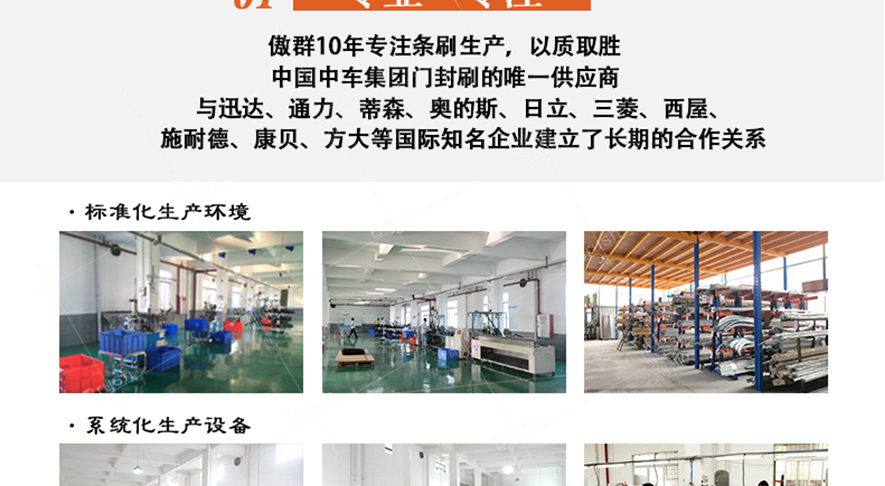 工業(yè)毛刷條