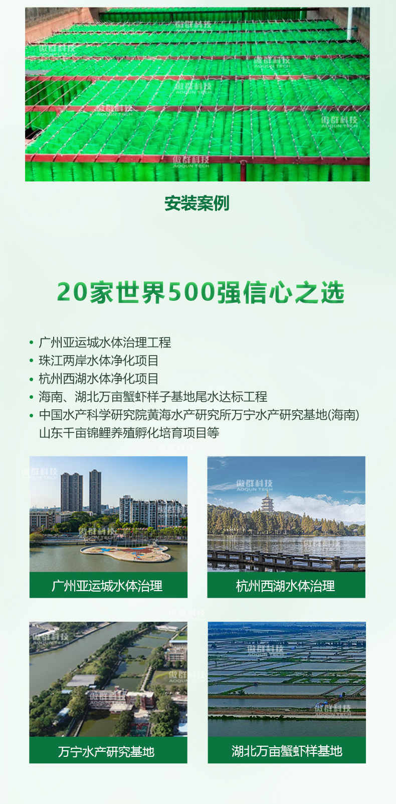 304/306不銹鋼過濾毛刷08