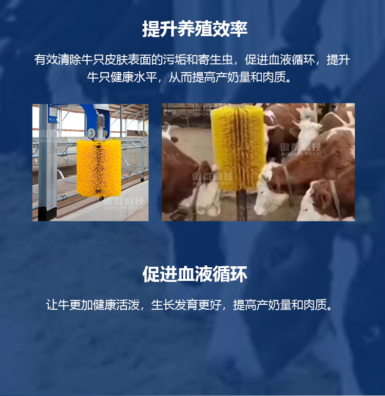 牛體清潔刷詳情頁04 牛體清潔刷詳情頁04
